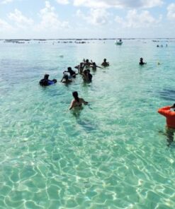 Passeio às piscinas naturais de Maragogi