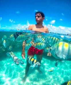 Passeio às piscinas naturais de Maragogi - Maragotransfer