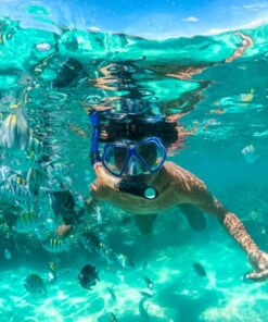 Passeio às piscinas naturais de Maragogi - Maragotransfer
