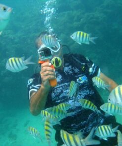 Mergulho em Maragogi - Maragotransfer